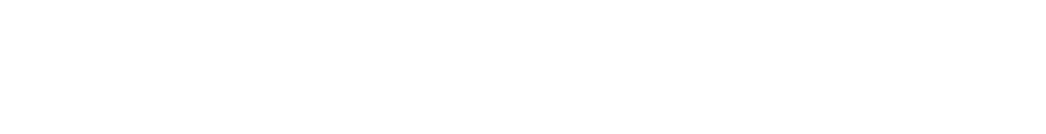 VIVERSE Logo